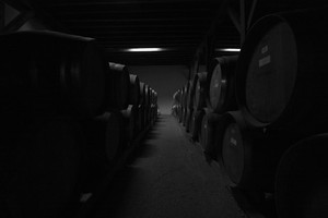 Please Stop Using Barrel Files