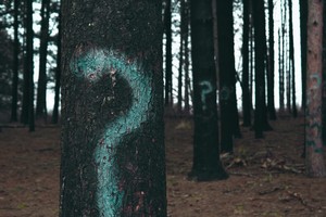 optional vs. undefined